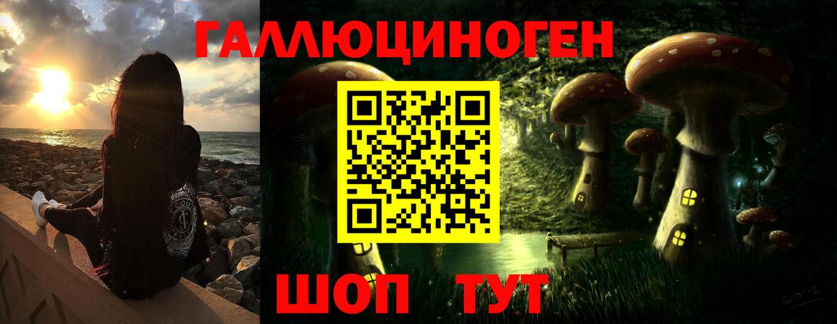 Псилоцибиновые грибы мицелий Калининград
